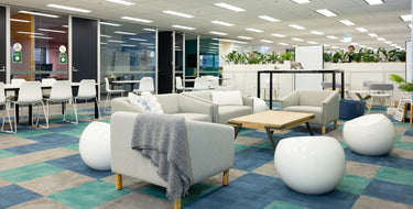 Pet Circle Office Fitout