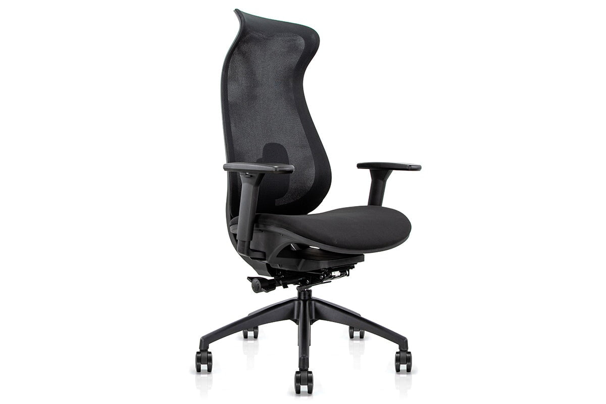 Shrike Ergonomic Chair - Black - Delivered in 3-5 Business Days